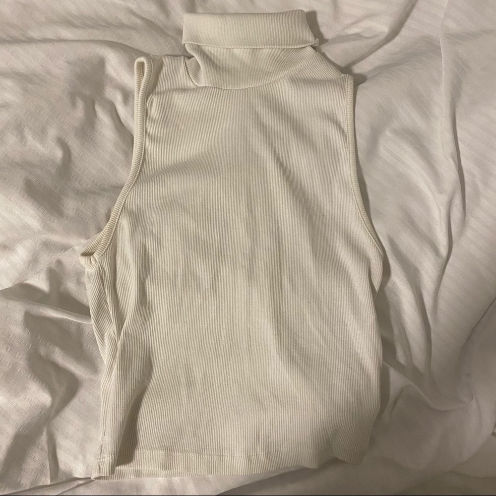 Turtle neck crop top Zara